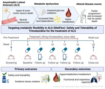 The complex interplay between metabolic dysregulation and ALS progression