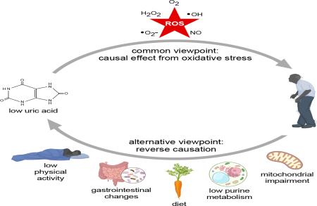 Uric Acid in Parkinson Disease: What is the Connection?